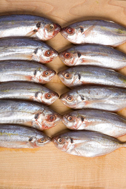istock Close up of many fish 152498661