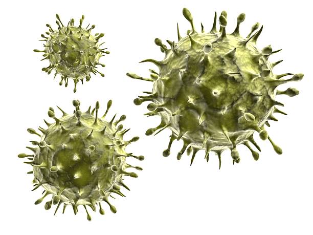 istock An illustration of the H1N1 bacterial virus 152499081