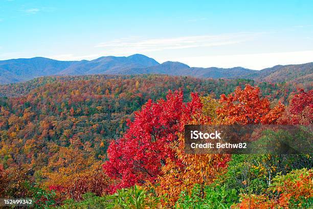 Autunno In Montagna - Fotografie stock e altre immagini di Albero - Albero, Ambientazione esterna, Appalachia