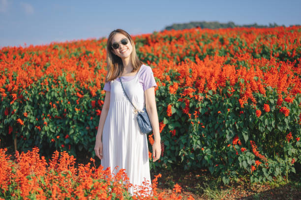 Wide shot modern generation Z asian adult walking fun happy moment through a lavender and \nHydrangea field on travel trip at mon-jam chiang mai thailand