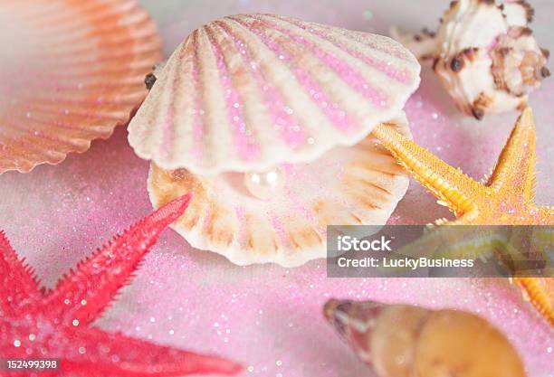 Muscheln Und Perlen Stockfoto und mehr Bilder von Extreme Nahaufnahme - Extreme Nahaufnahme, Fotografie, Glänzend