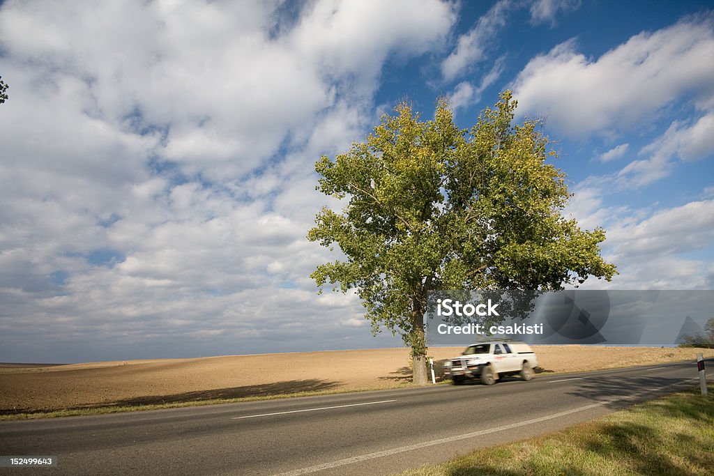 Veloce muoversi auto - Foto stock royalty-free di Albero