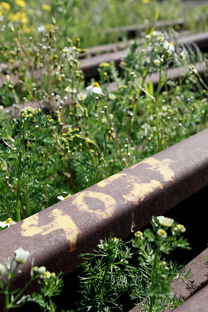 old railroad stock photo