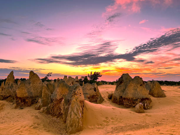 parque nacional del desierto de pinnacles, australia occidental - nambung national park fotografías e imágenes de stock