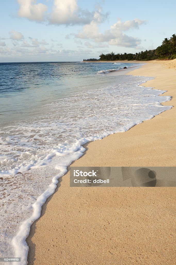 Playa aislada-North Shore, Oahu, Hawai - Foto de stock de Aire libre libre de derechos