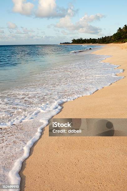 Playa Aisladanorth Shore Oahu Hawai Foto de stock y más banco de imágenes de Aire libre - Aire libre, Arena, Clima tropical