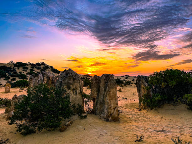 istock Pinnacles desert national park, Western Australia 1525000551