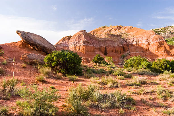 istock Palo Duro Canyon 152500245