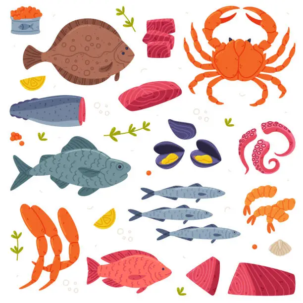 Vector illustration of Seafood with Fish, Crustacean and Shellfish as Fresh Sea Product Vector Set