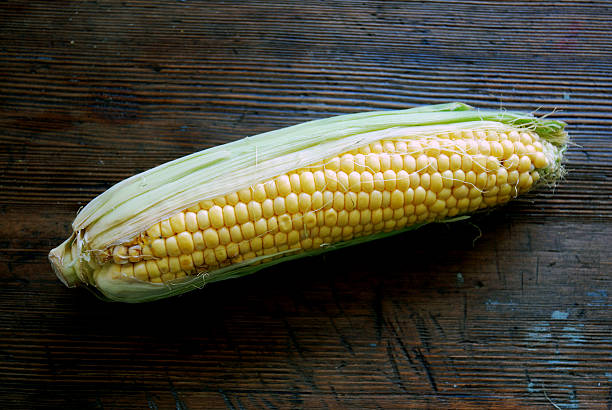 corncob stock photo