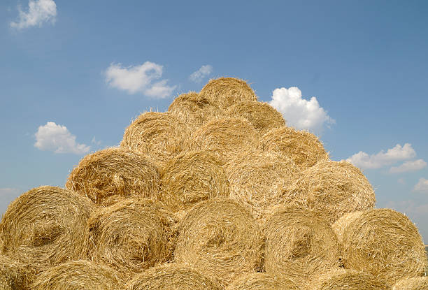 great straw stack stock photo