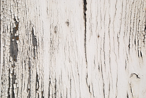 Closeup of an old weather wooden white door / wall shabby look texture with copy space in the background.