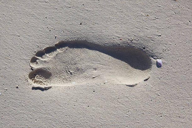 istock Footprint In The Sand 2 152502049