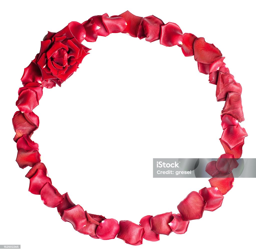 Rose Petal A border of red rose petals. Iisolated on white background with clipping path; Arrangement Stock Photo