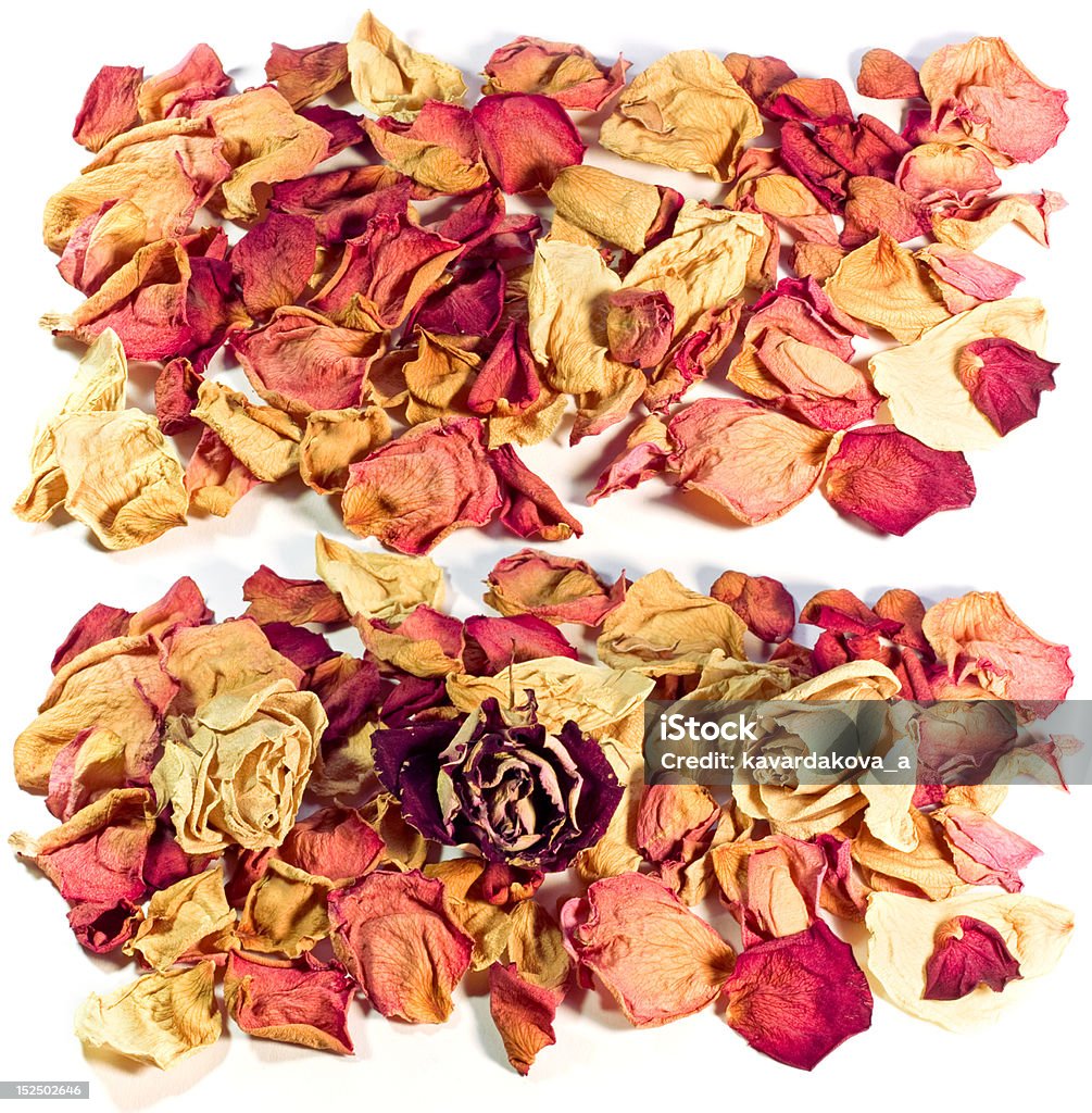 Dried Flower Petals Of Roses Decoration Stock Photo - Download Image Now -  Appliqué, Bud, Decorating - iStock