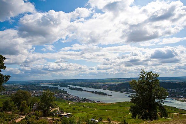 istock Rheinsteig - Rhine and Weinfelder 152502692