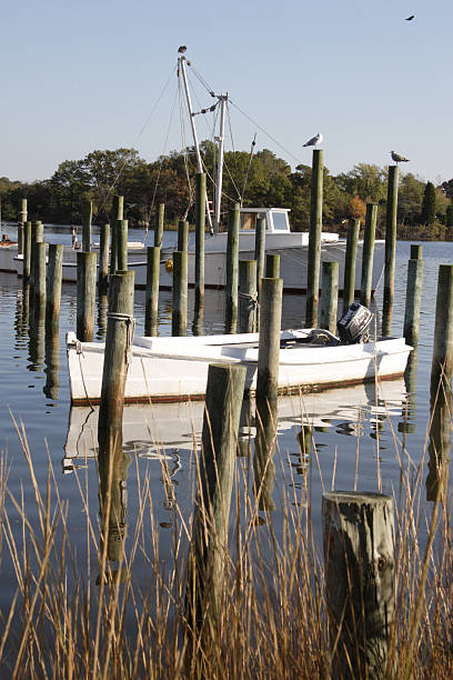 istock Boats, Birds, And Tall Pilings 152502742