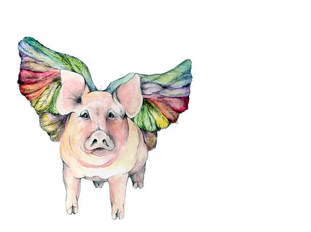 ilustrações, clipart, desenhos animados e ícones de winged porco ilustração - when pigs fly