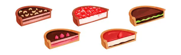 Vector illustration of Sweet Homemade Pie or Cheesecake Halves with Berry Filling and Crust Made of Shortcrust Pastry Vector Illustration Set
