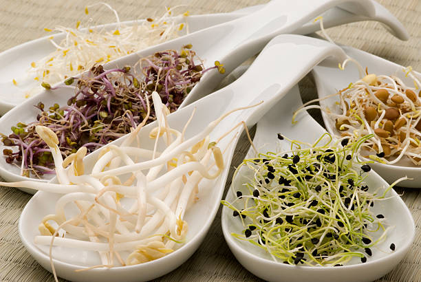 White ceramic serving spoons with assorted sprouts stock photo