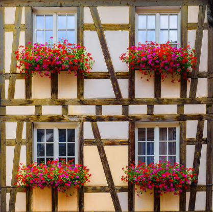 The traditional buildings in the old town of Colmar, Haut Rhin department, Alsace. A popular place for travelers in France.