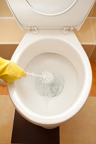 istock Hand washing the toilet 152504957