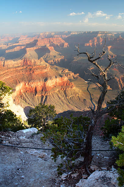istock Grand Canyon National Park, USA 152505323