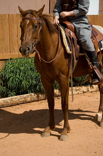 istock Girl on Horse 152505346