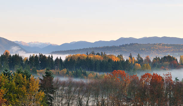 istock fall color at Deer Lake Park, Burnaby, BC 152505629