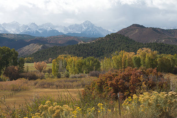 istock Golden Autumn in the Uncompahgre Valley 152506275
