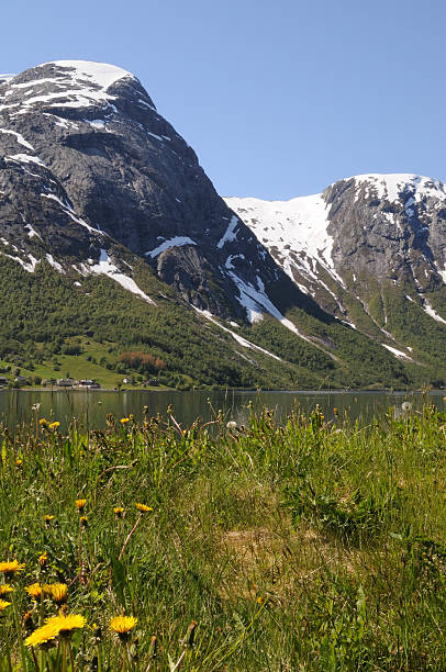 Norwegian mountain landscape stock photo