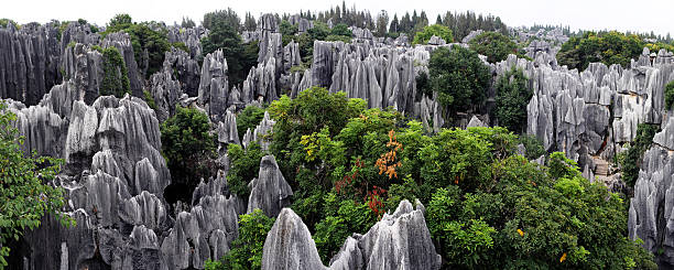 floresta de pedra de shilin - the stone forest - fotografias e filmes do acervo