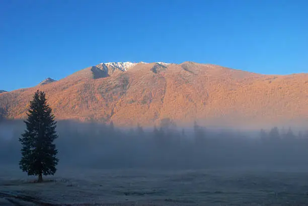 Foggy mountain view at sunrise