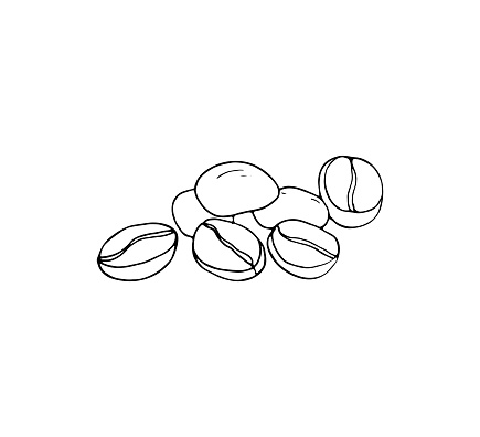 Hand drawn coffe beans vector illustration, on white background