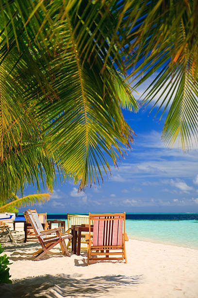 istock Maldives Tropical Paradise with Palm Trees, Beach and lounge chairs 152507559