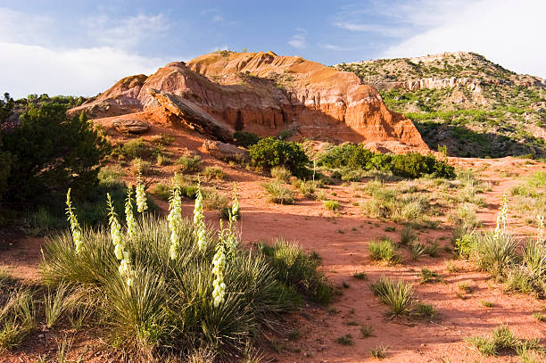 Palo Duro Canyon