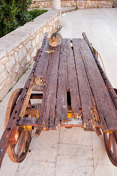 Cat on a wooden cart stock photo