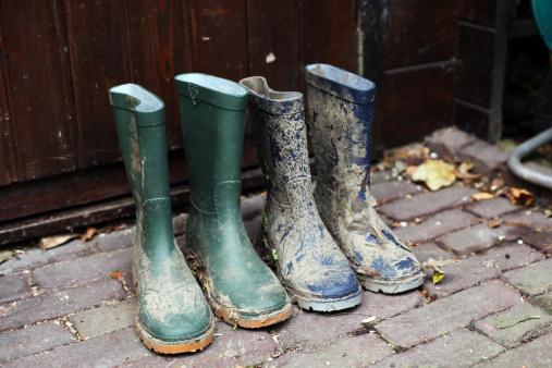 Two pairs of wellington boots full of mud