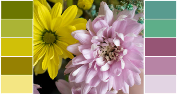 istock Beautiful flowers color swatch, palette 1525098682
