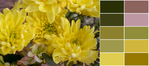istock Beautiful flowers color swatch, palette 1525113055