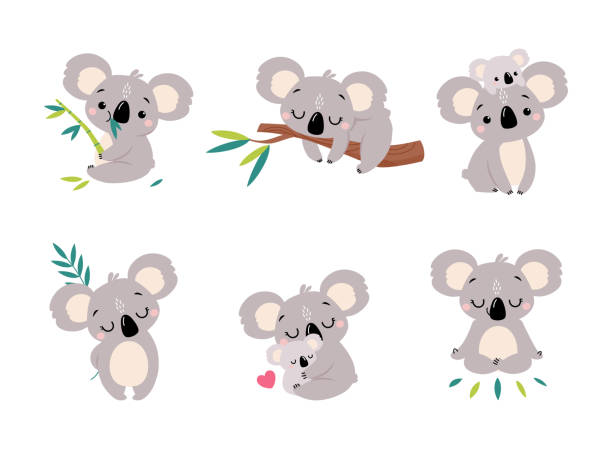 koalabär als australisches tier auf eukalyptuszweig und mit baby-vektor-set - koala australia animal isolated stock-grafiken, -clipart, -cartoons und -symbole