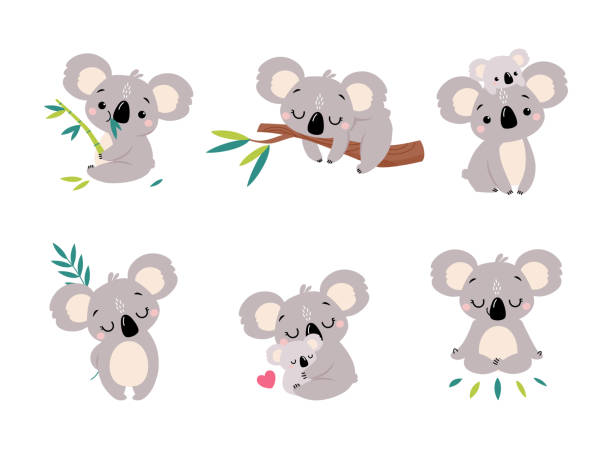 ilustrações de stock, clip art, desenhos animados e ícones de koala bear as australian animal on eucalyptus branch and with baby vector set - eucalyptus tree tree australia tropical rainforest