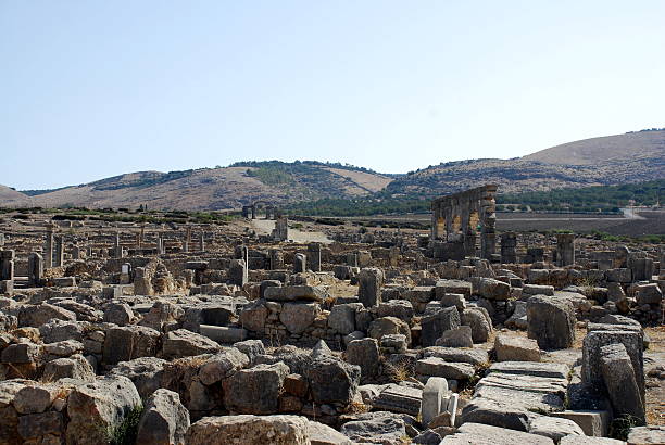 volubilis roman altstadt - mosaic roman volubilis hercules stock-fotos und bilder