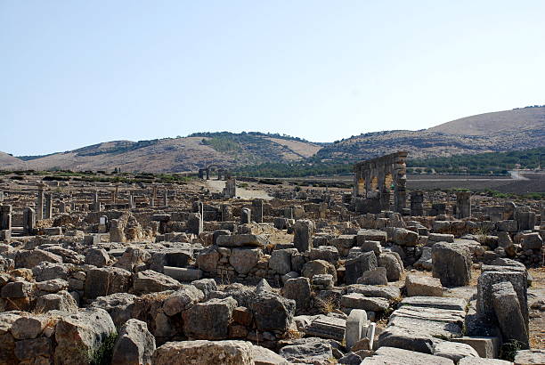 antiga cidade romana volubilis - mosaic roman volubilis hercules imagens e fotografias de stock