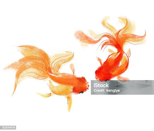 Peixe Dourado - Fotografias de stock e mais imagens de Peixe dourado - Peixe dourado, Ilustração, Tinta de Aguarela
