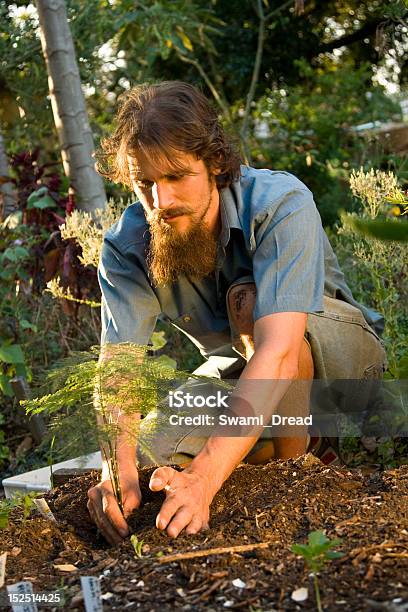 Hombre Jardinería En Nursery De Plantación De Árboles Foto de stock y más banco de imágenes de Adulto