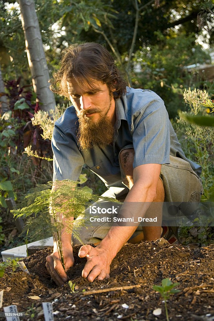Человек в саду в питомнике Насаждения дерево. - Стоковые фото Green Thumb - английское выражение роялти-фри