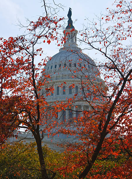 Autumn on Capitol Hill stock photo