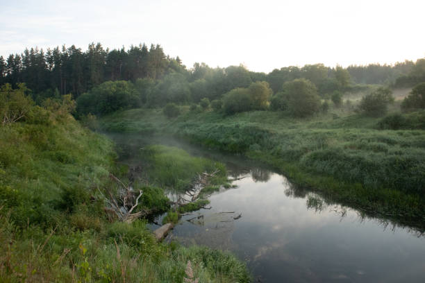 istock Riverside Oasis: Flourishing Flora Along Wild River Banks 1525148523