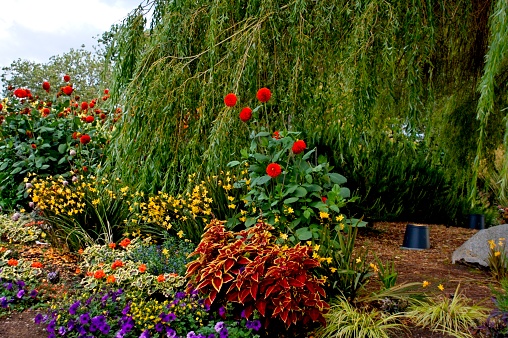 Garden at the Seattle Center in downtown Seattle. Seattle, Washington, United State of America - 26th of August, 2010